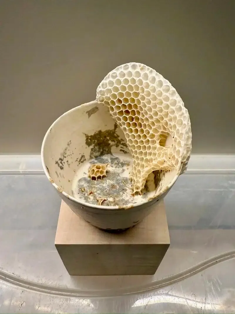 ava roth kintsugi ceramics 6 1 Tasse blanche, céramique et nid d'abeilles