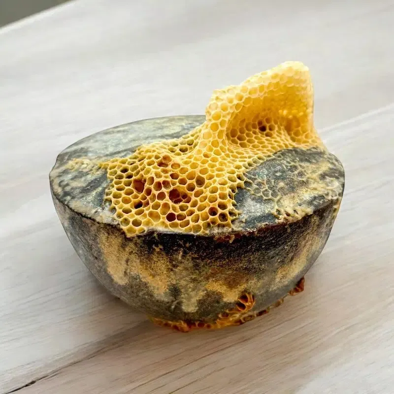 ava roth kintsugi ceramics 9 1 Vase en céramique avec nid d'abeilles naturel