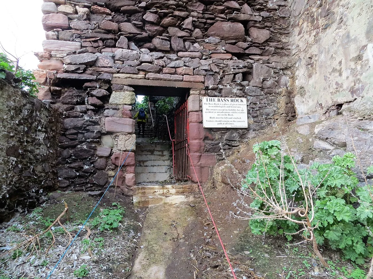 bass rock lancienne prison ecossaise presque imprenable conquise de linterieur 3 bass rock lancienne prison ecossaise presque imprenable conquise de linterieur 3