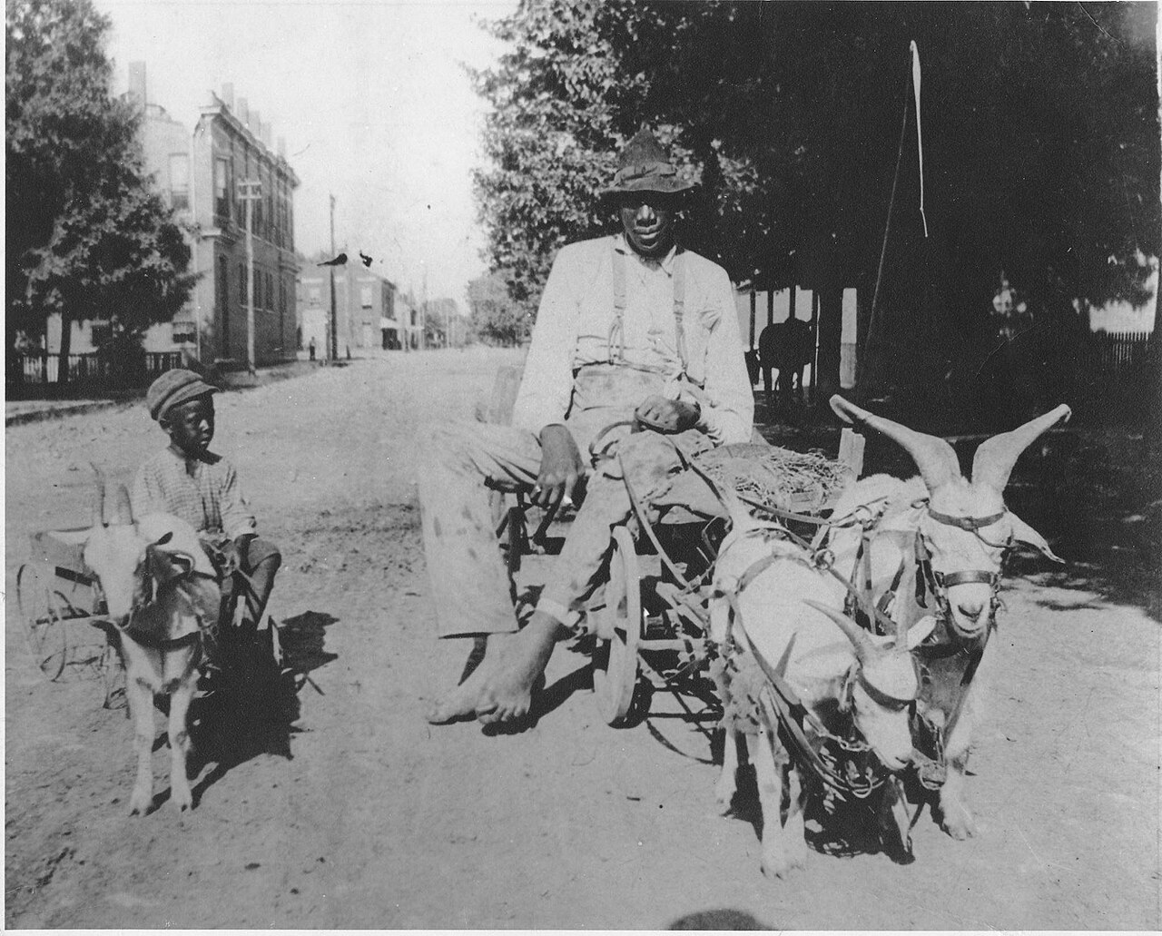 john rogan le geant de 267 m que lhistoire a presque oublie 1 John Rogan, le géant de 2,67 m dans son chariot tiré par des chèvres