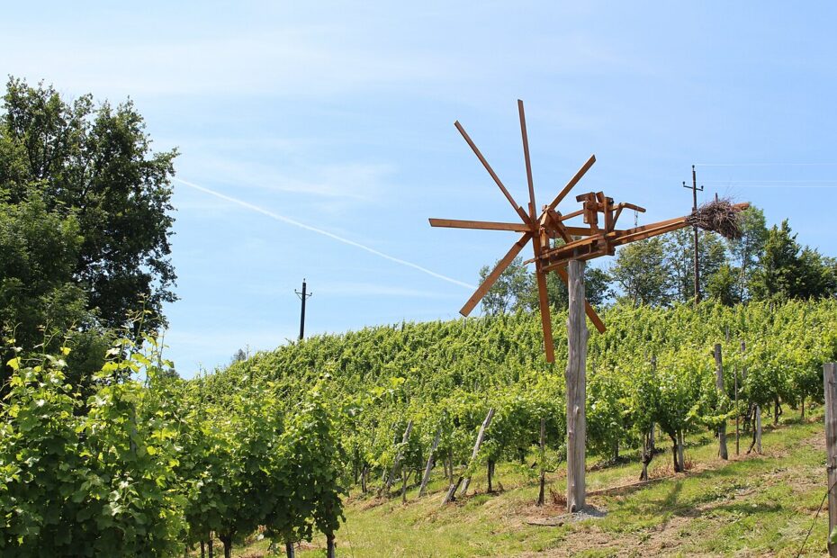 Le klopotec, le moulin épouvantail qui claque dans les vignobles slovènes le klopotec le moulin epouvantail qui claque dans les vignobles slovenes 1 le klopotec le moulin epouvantail qui claque dans les vignobles slovenes 1
