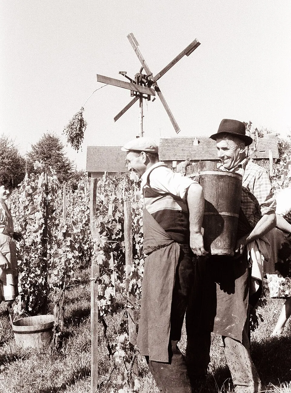 le klopotec le moulin epouvantail qui claque dans les vignobles slovenes 3 le klopotec le moulin epouvantail qui claque dans les vignobles slovenes 3