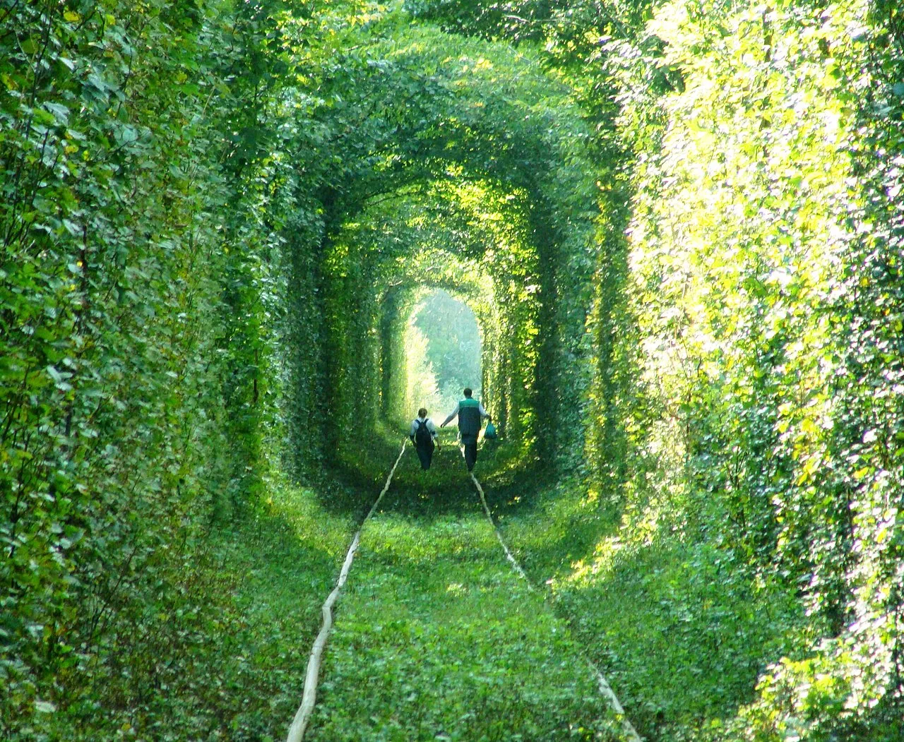 le tunnel de lamour en ukraine une voie ferree transformee en cathedrale vegetale 10 le tunnel de l'amour en ukraine une voie ferree transformee en cathedrale vegetale 10
