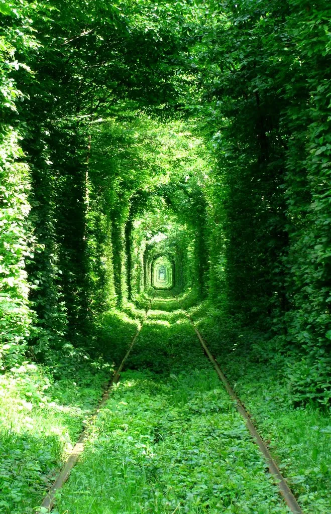 le tunnel de lamour en ukraine une voie ferree transformee en cathedrale vegetale 2 le tunnel de l'amour en ukraine une voie ferree transformee en cathedrale vegetale 2