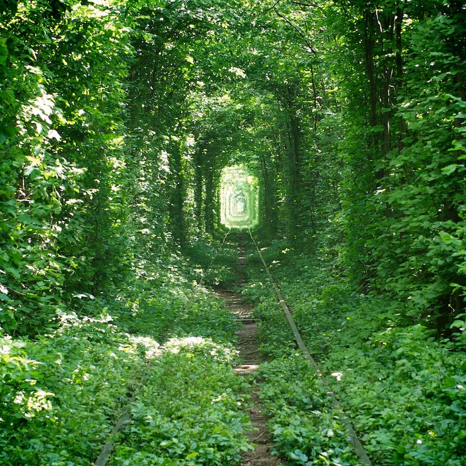 le tunnel de lamour en ukraine une voie ferree transformee en cathedrale vegetale 3 le tunnel de lamour en ukraine une voie ferree transformee en cathedrale vegetale 3
