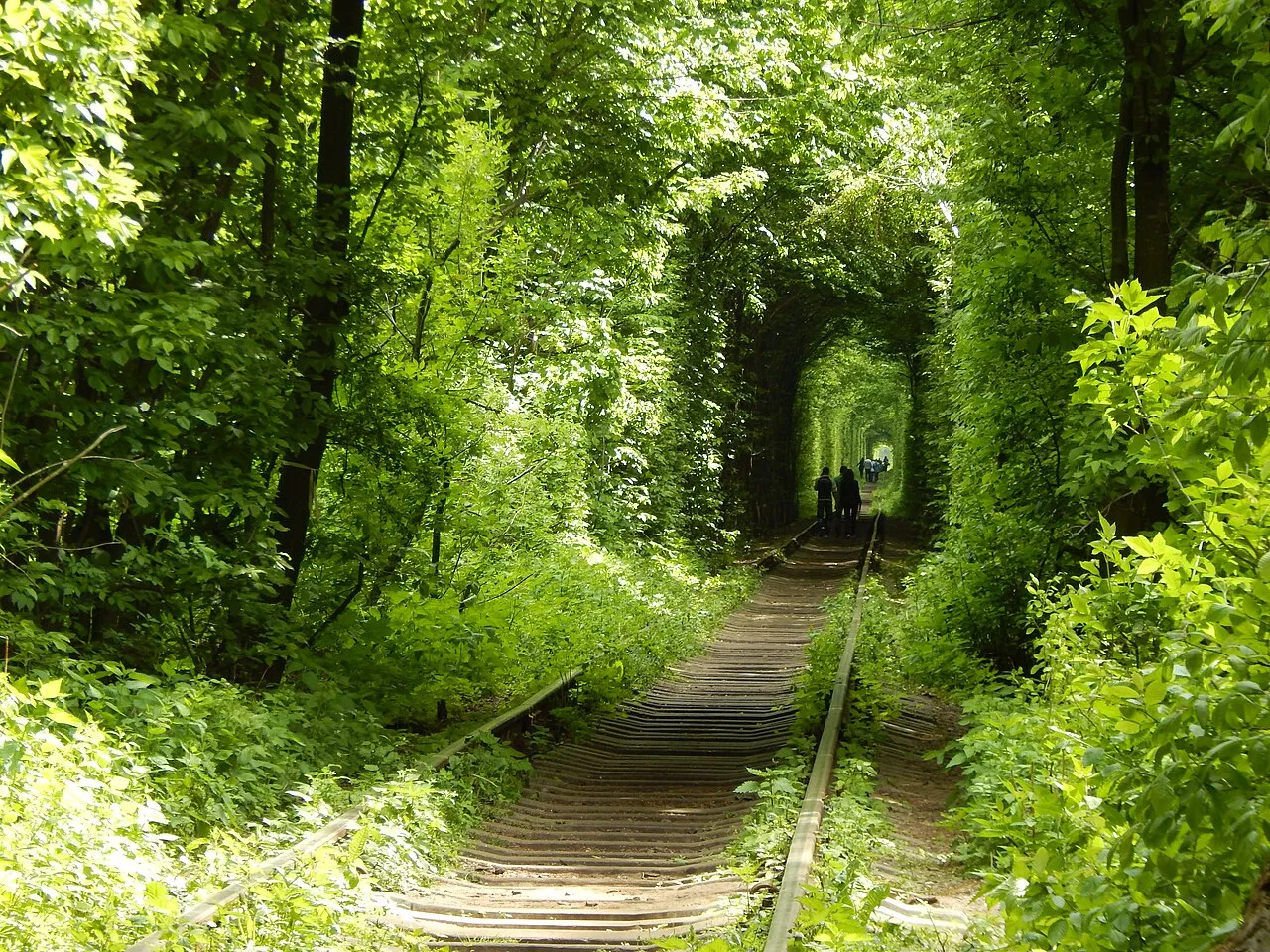 le tunnel de lamour en ukraine une voie ferree transformee en cathedrale vegetale 5 le tunnel de l'amour en ukraine une voie ferree transformee en cathedrale vegetale 5