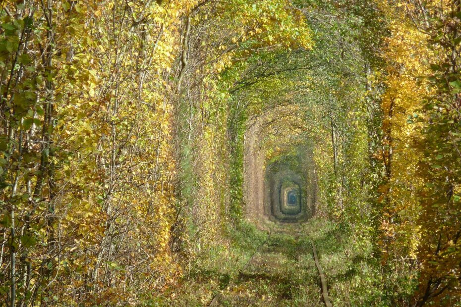 Le tunnel de l’amour en Ukraine, une voie ferrée transformée en cathédrale végétale le tunnel de lamour en ukraine une voie ferree transformee en cathedrale vegetale 6 le tunnel de lamour en ukraine une voie ferree transformee en cathedrale vegetale 6