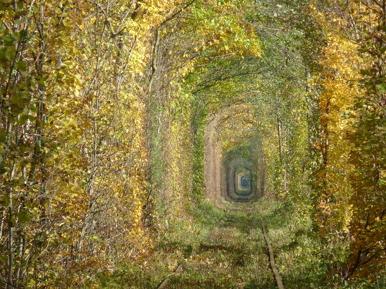 le tunnel de lamour en ukraine une voie ferree transformee en cathedrale vegetale 6 le tunnel de l'amour en ukraine an automne