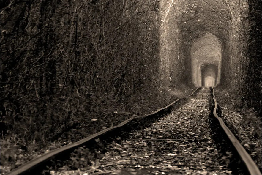 le tunnel de lamour en ukraine une voie ferree transformee en cathedrale vegetale 7 le tunnel de l'amour en hiver