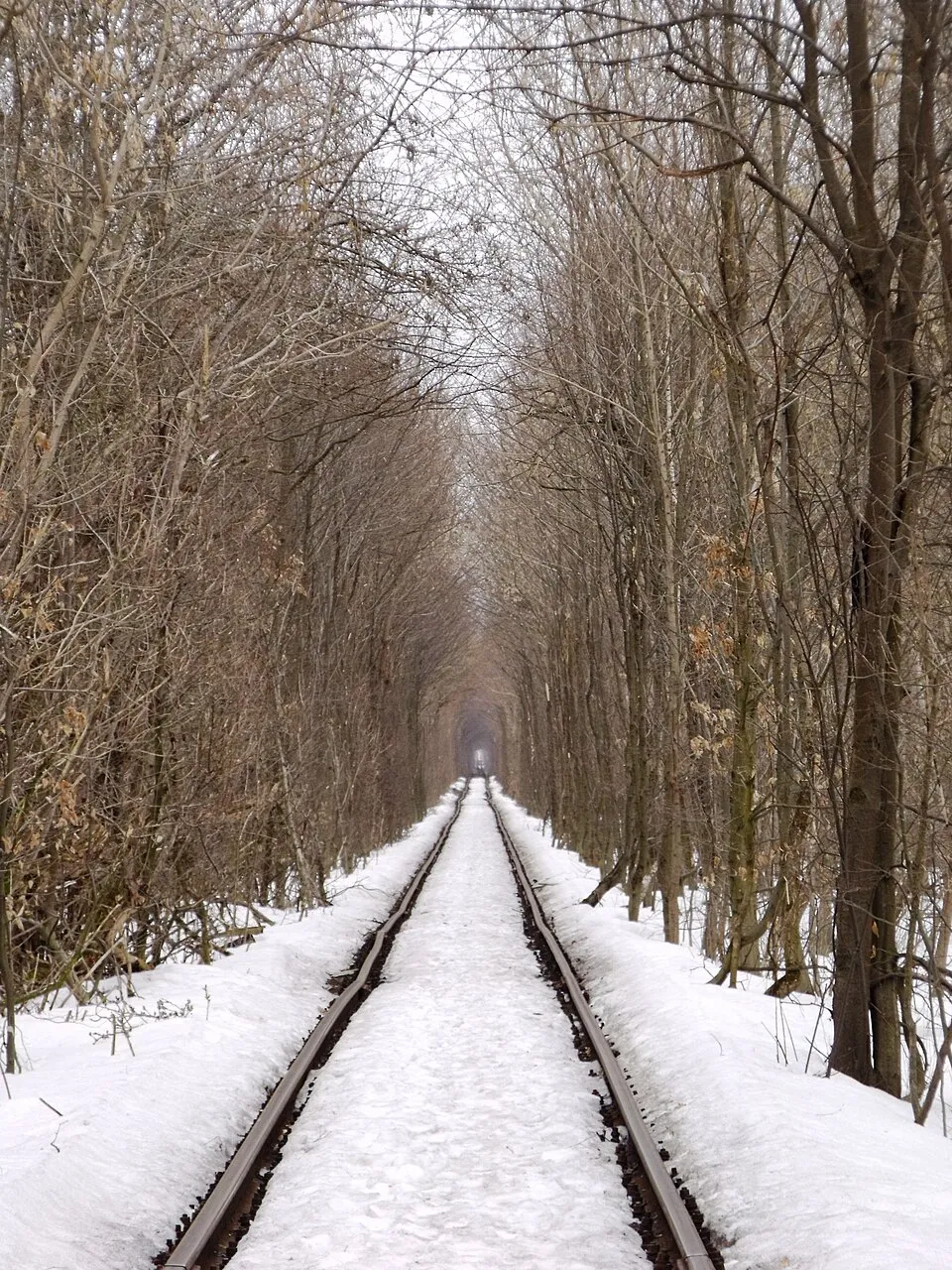 le tunnel de lamour en ukraine une voie ferree transformee en cathedrale vegetale 9 le tunnel de l'amour avec la neige en hiver