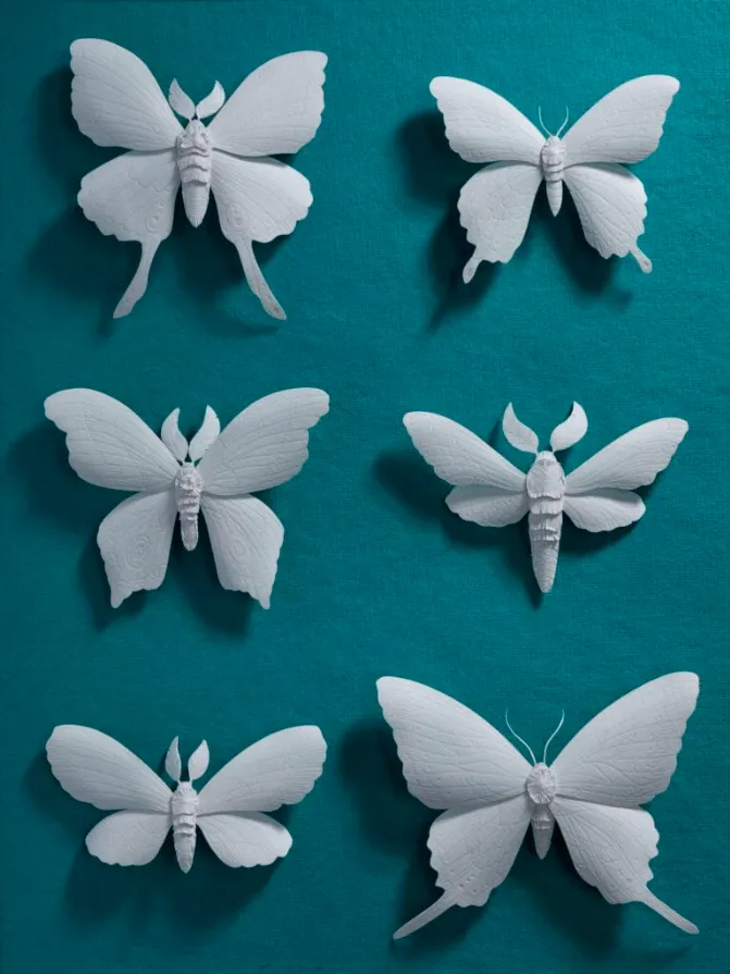 marisa aragon ware transforme le papier en delicats animaux de foret 7 marisa aragon ware transforme le papier en delicats animaux de foret 7