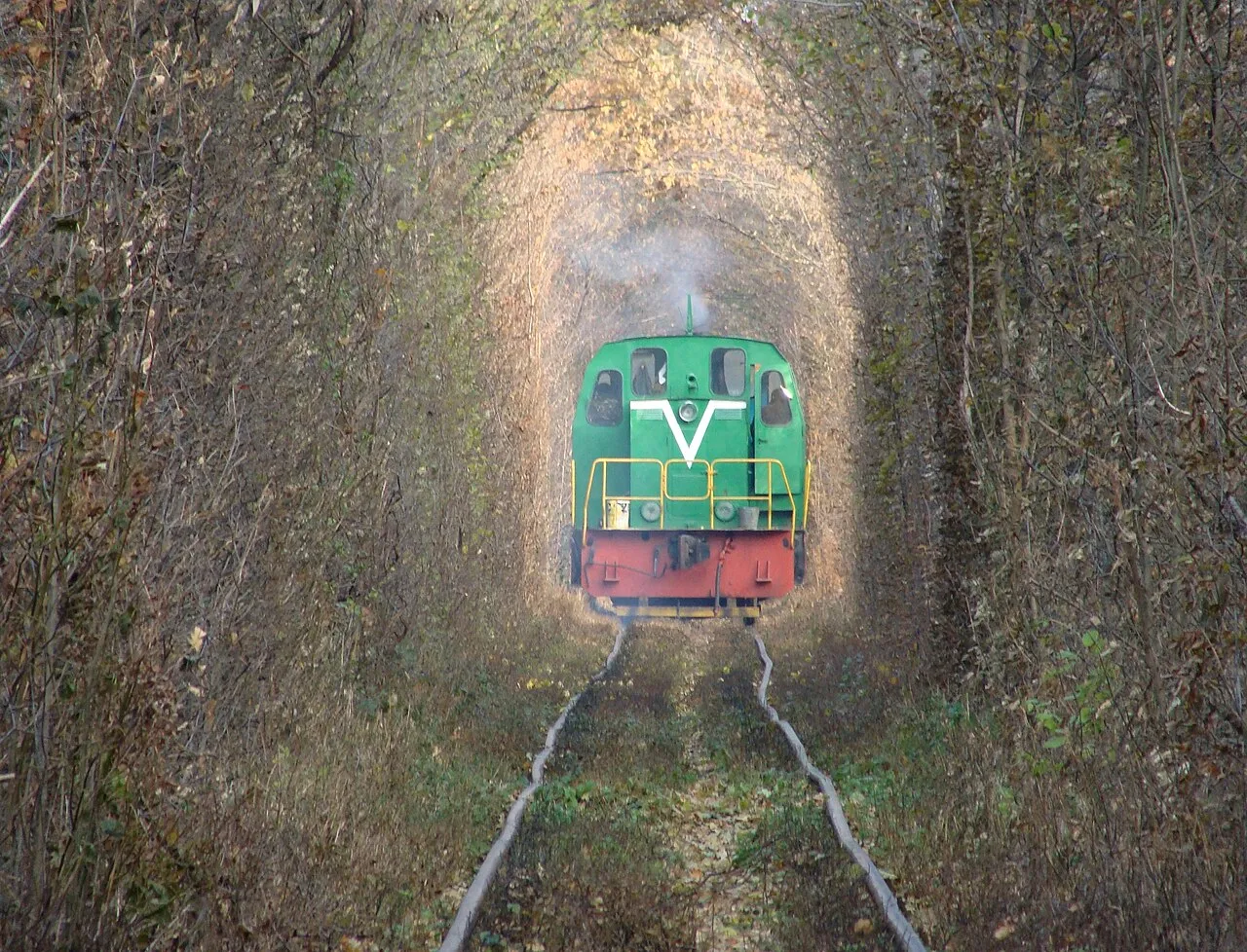 train circulant dans le tunnel de lamour en ukraine train circulant dans le tunnel de l'amour en ukraine