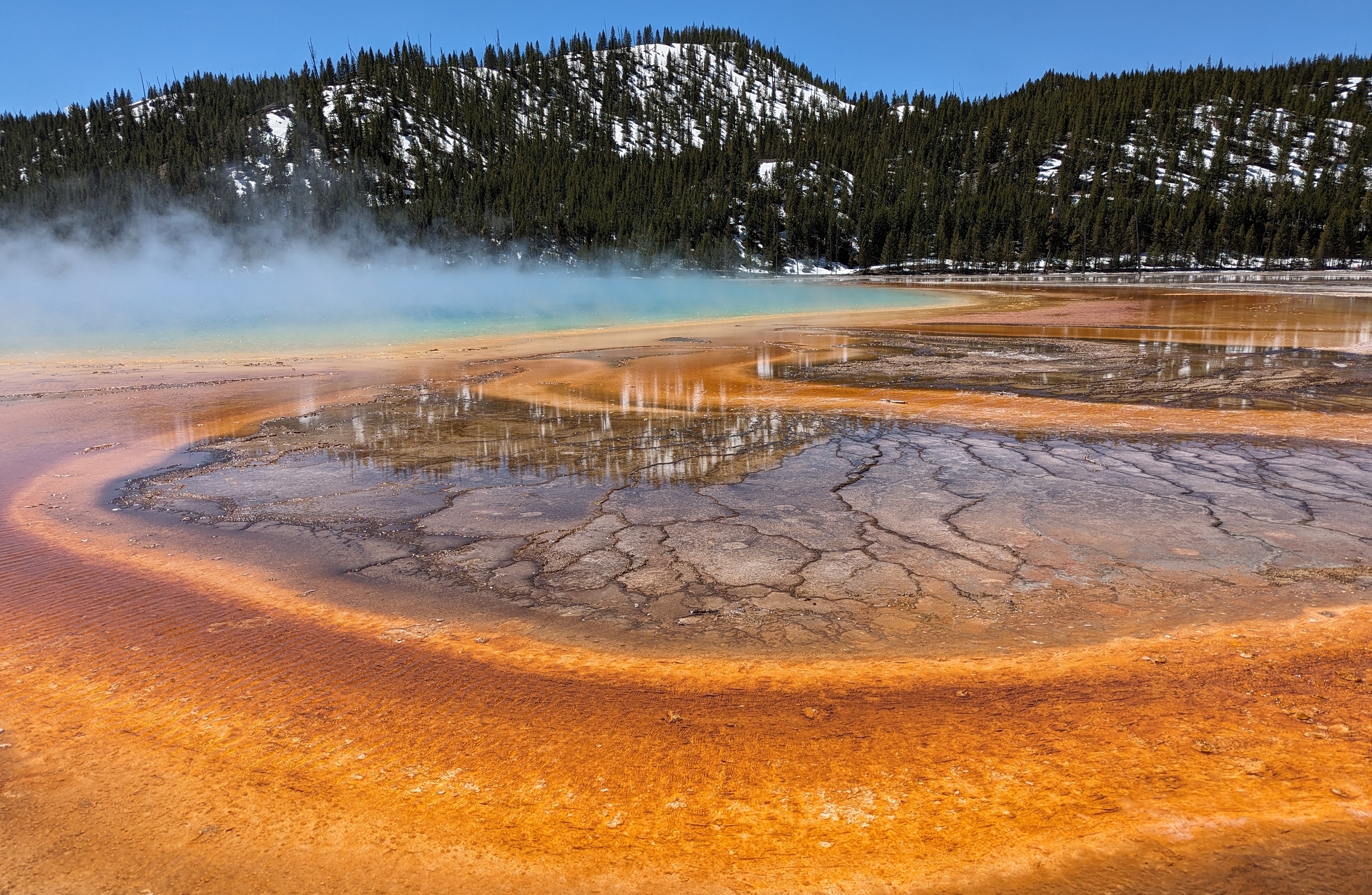 Tapis microbiens colorés autour de Grand Prismatic Spring à Yellowstone Tapis microbiens colorés autour de Grand Prismatic Spring à Yellowstone