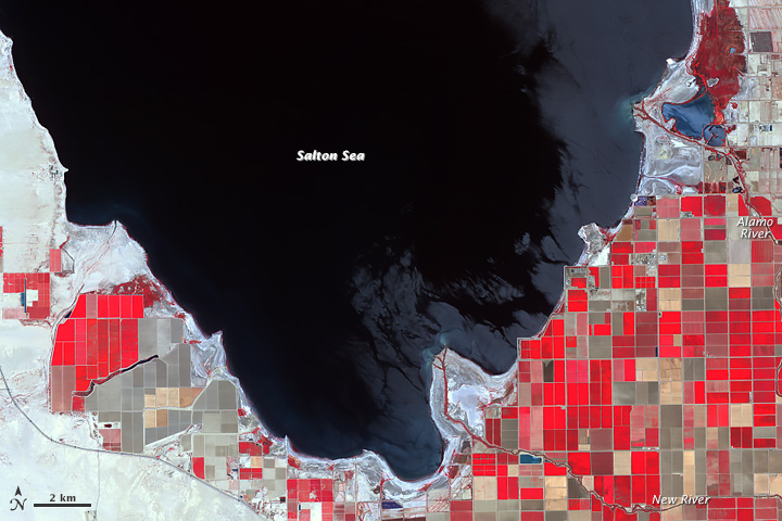 Vue satellite montrant le recul du rivage de la Salton Sea Vue satellite montrant le recul du rivage de la Salton Sea