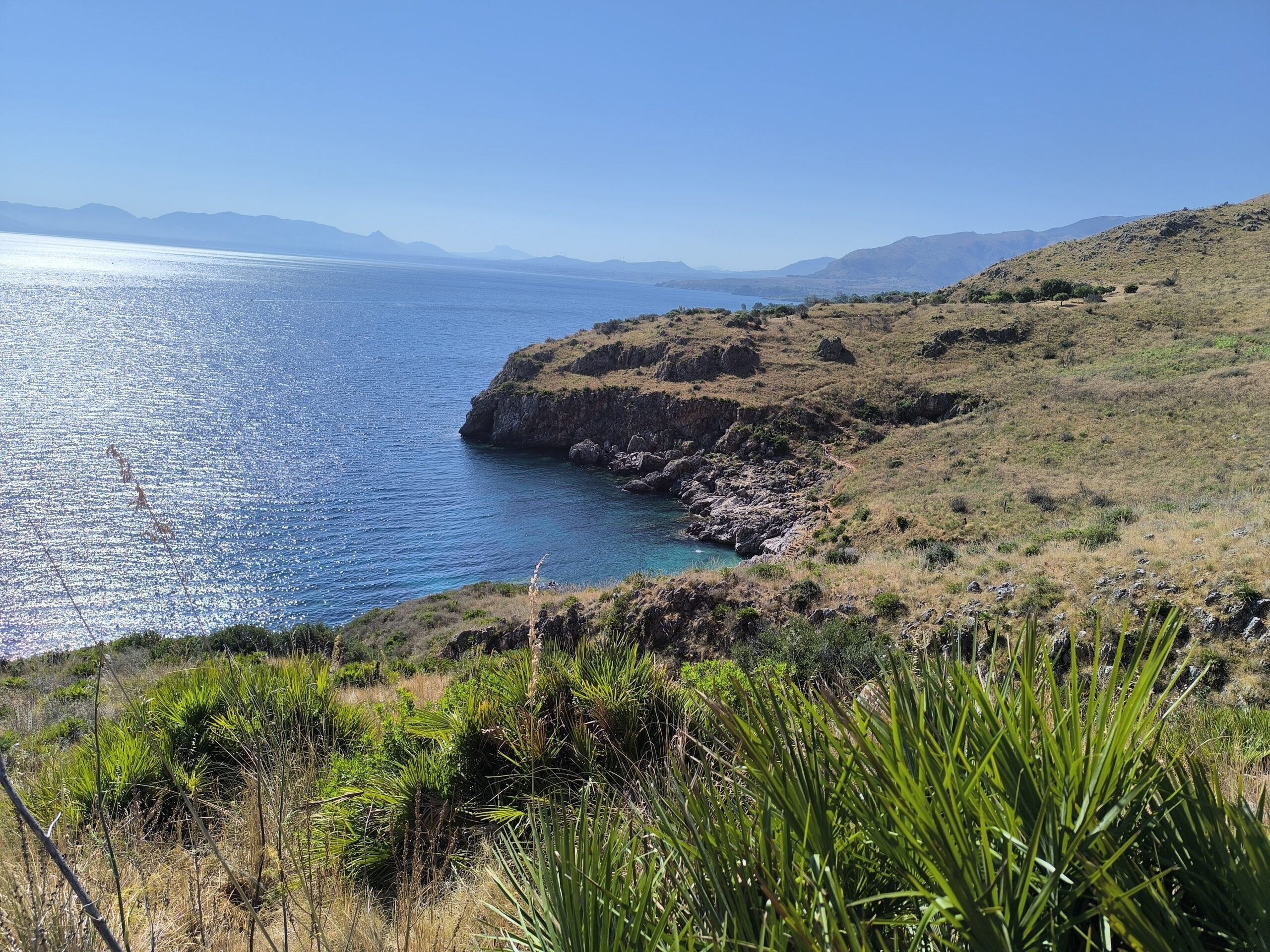 côte sauvage et palmiers nains vus depuis le sentier de la réserve du Zingaro côte sauvage et palmiers nains vus depuis le sentier de la réserve du Zingaro
