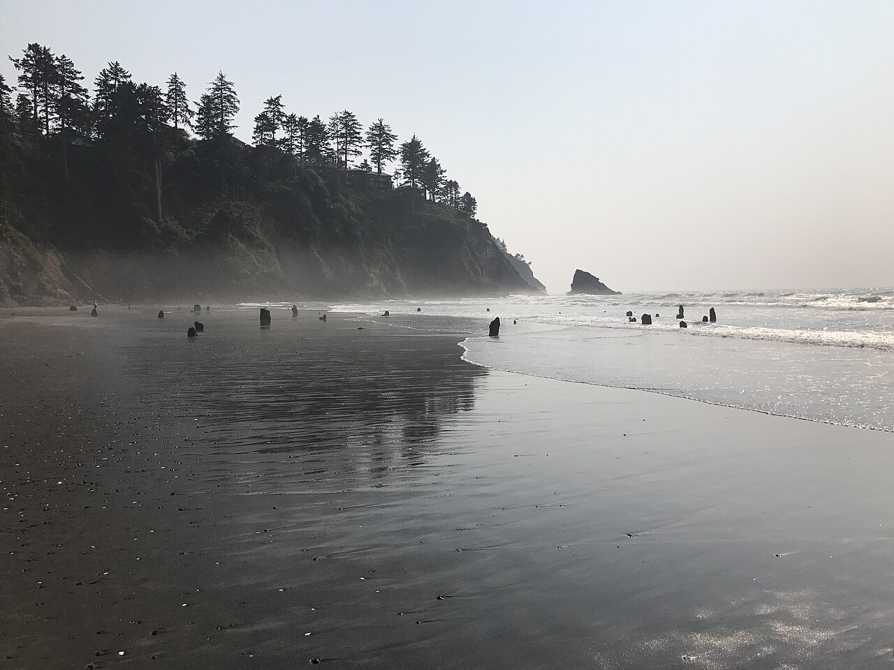 La forêt fantôme de Neskowin en Oregon Souches de la forêt fantôme de Neskowin apparaissant sur la plage à marée basse en Oregon