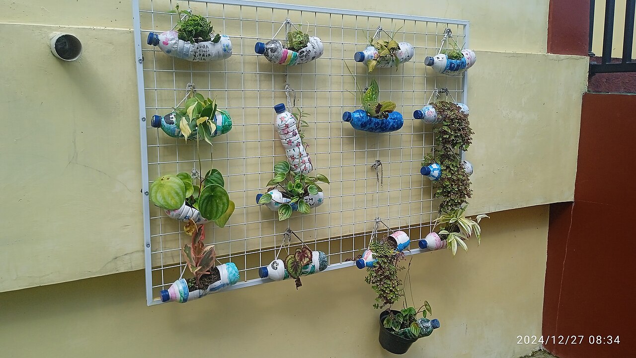 jardin suspendu réalisé avec des bouteilles en plastique recyclées jardin suspendu réalisé avec des bouteilles en plastique recyclées