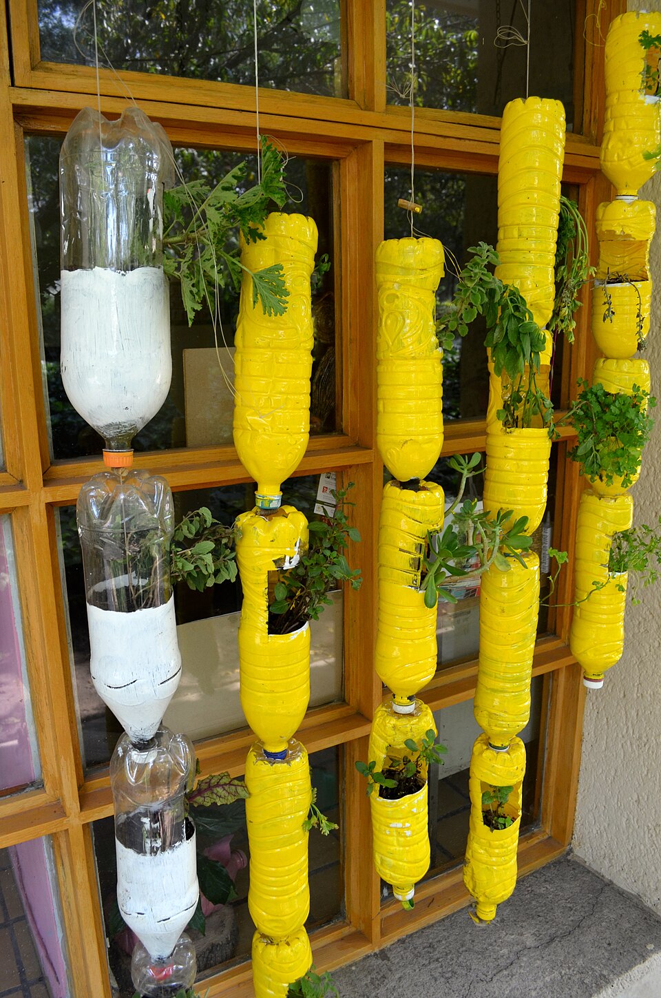 pots de fleurs suspendus fabriqués avec des bouteilles en plastique pots de fleurs suspendus fabriqués avec des bouteilles en plastique