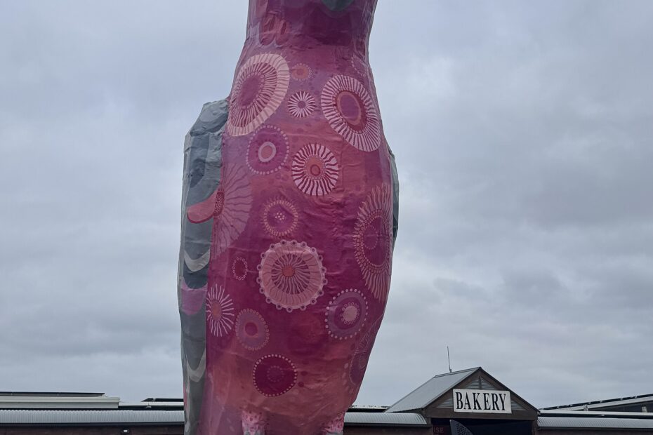 The Big Galah, cacatoès géant rose et gris à Kimba en Australie