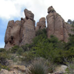 Forêt de piliers rocheux de Chiricahua National Park en Arizona