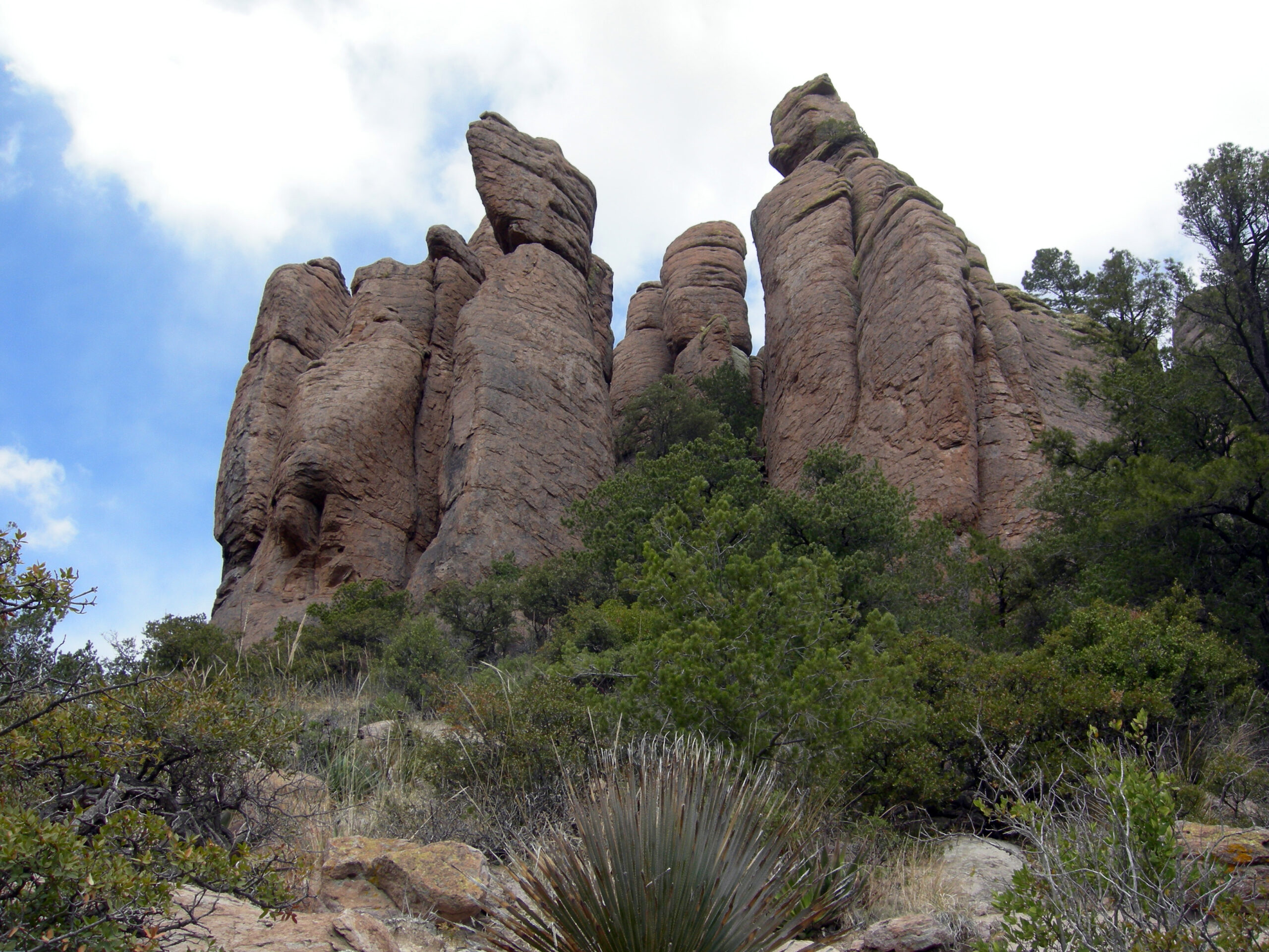 chiricahua foret rochers arizona Forêt de piliers rocheux de Chiricahua National Park en Arizona