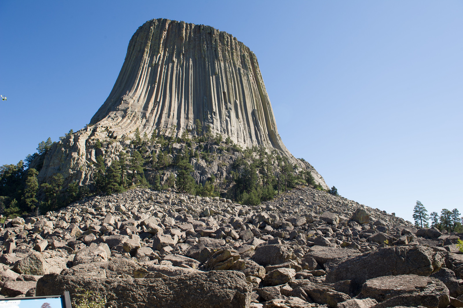devils tower depuis la base Devils Tower vue depuis sa base et ses hautes colonnes rocheuses