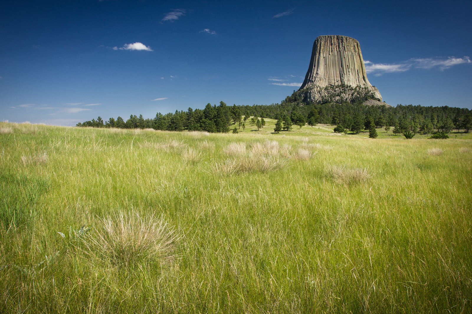 devils tower prairies wyoming Devils Tower dominant les prairies du Wyoming