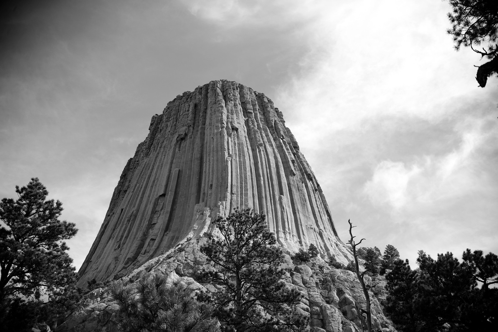devils tower vue du pied noir et blanc Devils Tower vue depuis son pied en noir et blanc