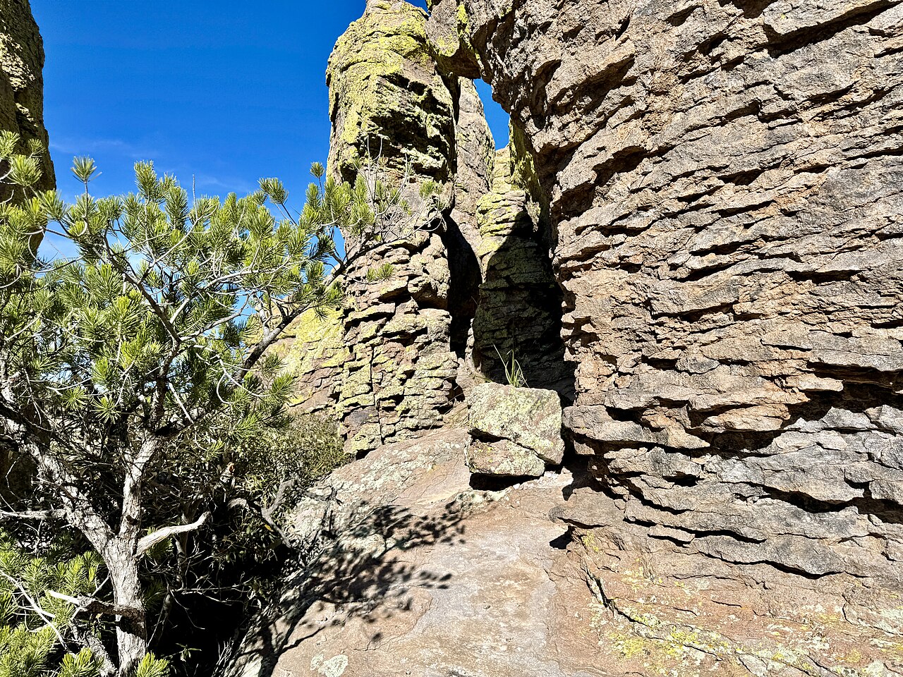 echo canyon piliers chiricahua Aiguilles et grandes colonnes rocheuses le long d'Echo Canyon à Chiricahua