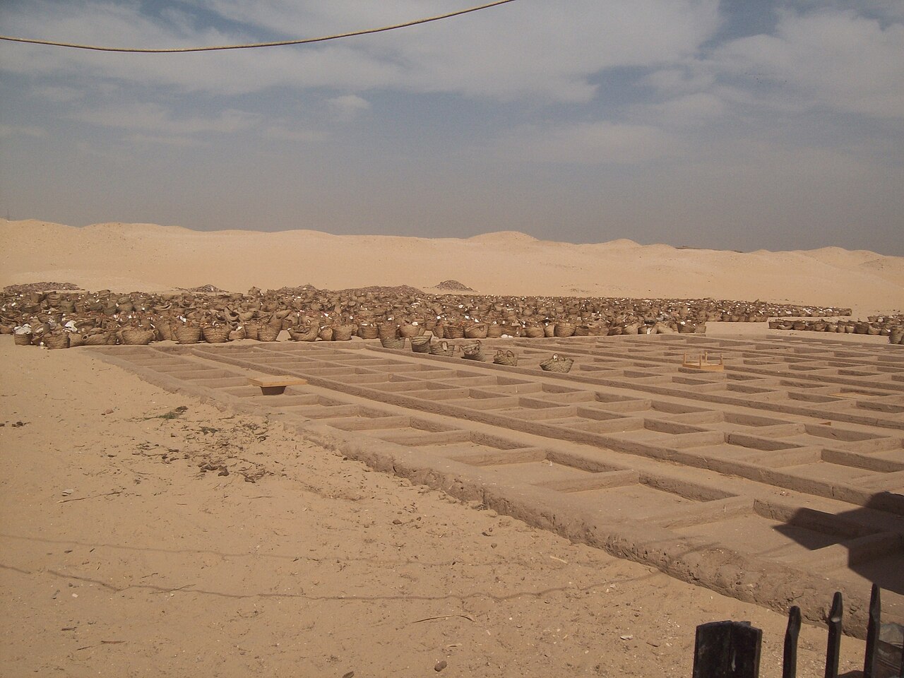 necropole abydos sacrifice humain egypte Fouilles de la nécropole d'Abydos en Égypte