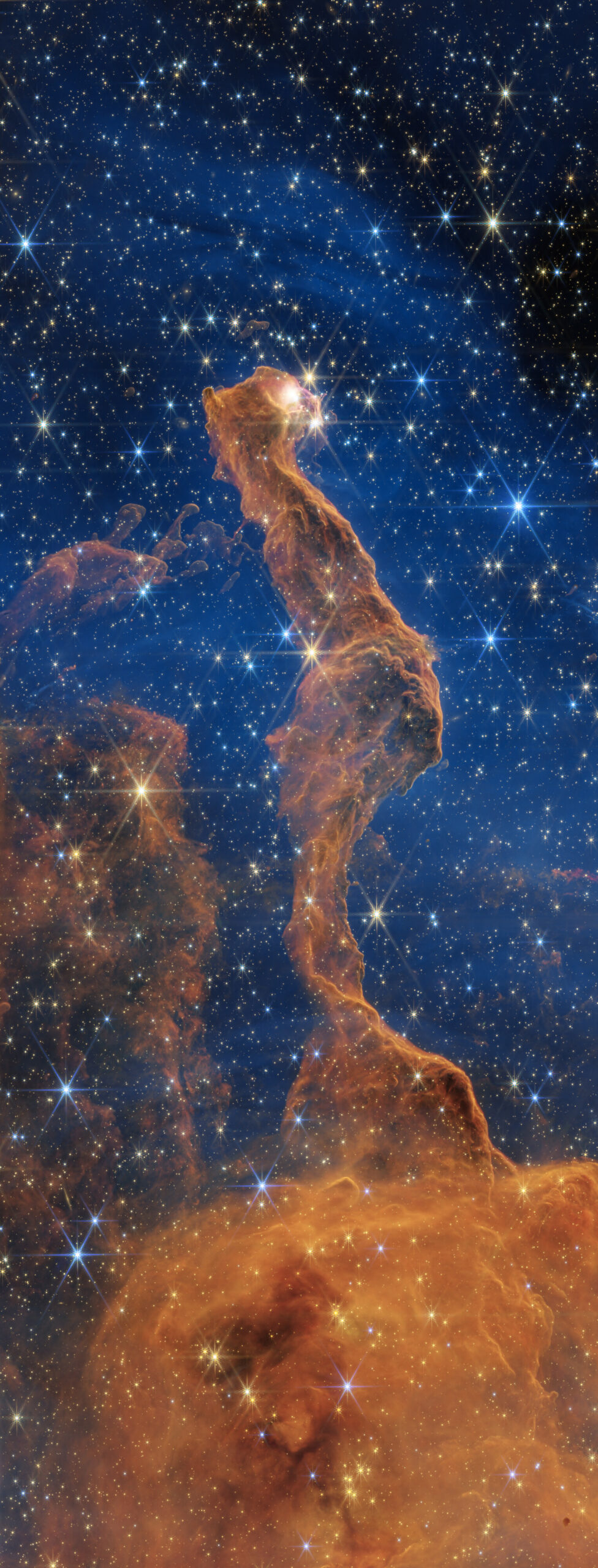 tete chat nebuleuse carene webb nircam Nébuleuse de la Tête de Chat observée par James Webb en proche infrarouge, révélant des étoiles derrière la poussière
